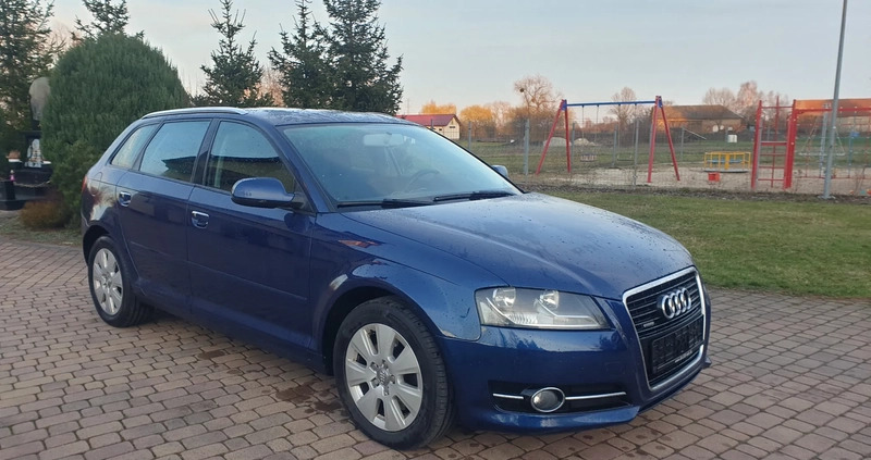 Audi A3 cena 31999 przebieg: 260569, rok produkcji 2010 z Piotrków Kujawski małe 781